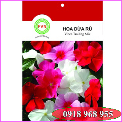 In túi hạt giống| baobigiaphat.vn